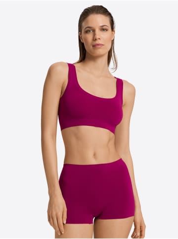 Hanro Bustier Touch Feeling in pink tourmaline