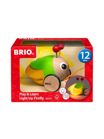 Brio Kreativität Nachzieh-Glühwürmchen mit Licht und Sound 9-12 Monate in bunt