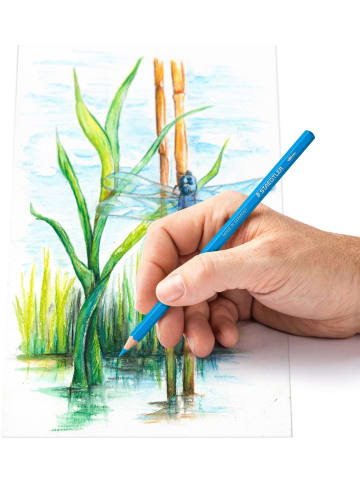 Staedtler Aquarellstift 146 Packung mit 12 Farben