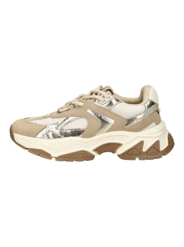 Steve Madden Sneaker Beige