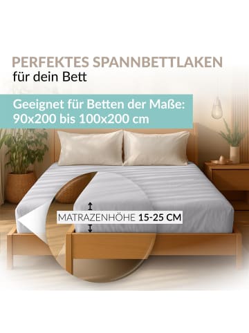 Carpe Sonno Edel-Jersey Spannbettlaken in Silber