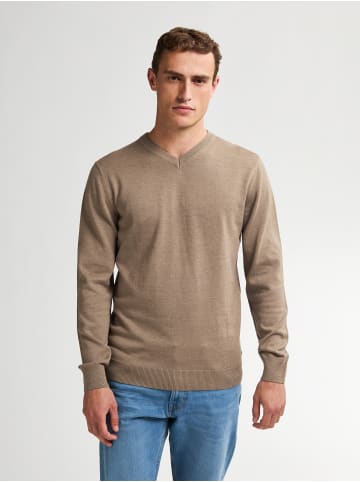 Petrol Industries Feinstrick-Pullover mit V-Ausschnitt Whitefish in Braun