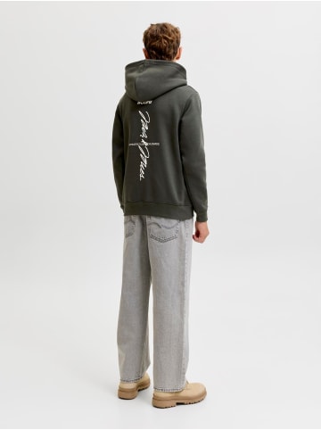 JACK & JONES Junior Kapuzenpullover Hoodie Jcoclub in peat