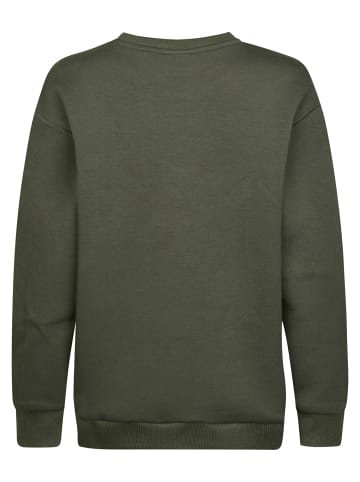 Petrol Industries forgebrook Sweatshirt mit Grafik-Print in Grau