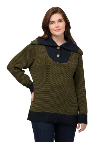 Ulla Popken Pullover in marine