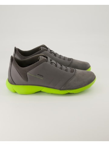 Geox Sneaker low in Grau