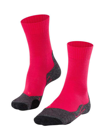 Falke Socken 1er Pack in Pink