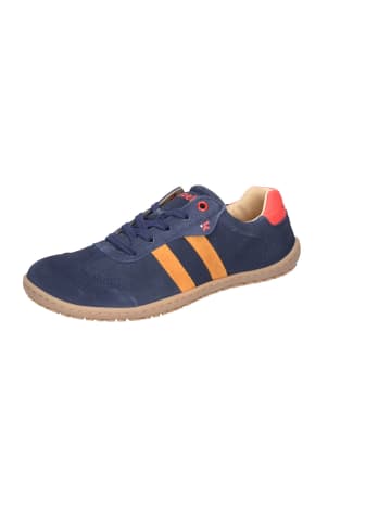 KOEL Schnürschuhe in blau