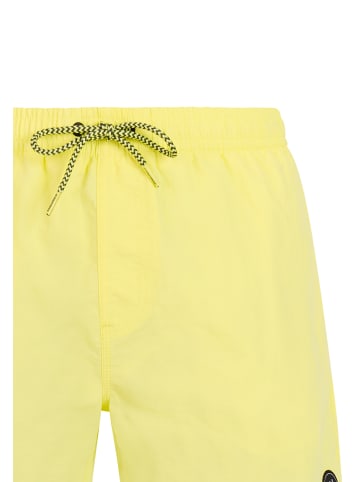 Protest " SPEED in Cherlock Lime