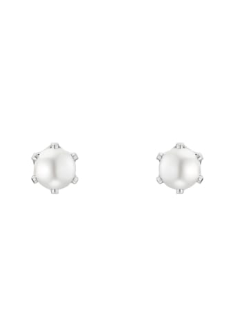 Amor Ohrstecker Silber 925, rhodiniert in Silber