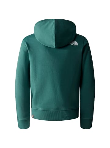 The North Face Hoodie Off Mountain Logowear in dark sage-asphalt grey