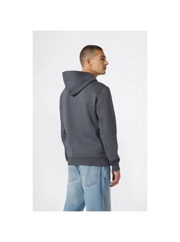 Champion Longsleeve Hooded Sweatshirt in Grau0641