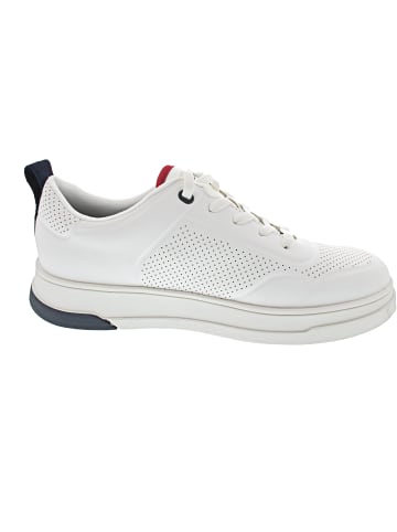 Bugatti Franc Sneaker Weiß