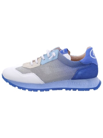 Hispanitas Schnürschuhe in white/indigo