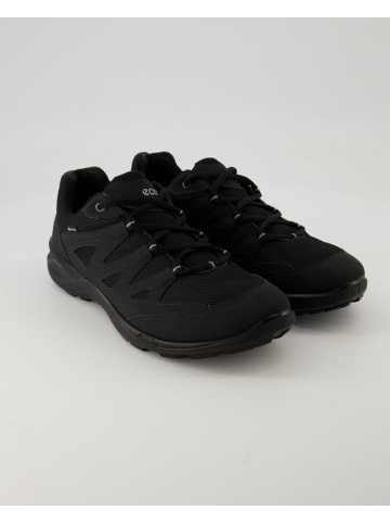 Ecco Sneaker low in Schwarz