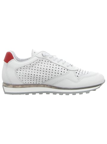 Cetti Sneaker Low in weiß