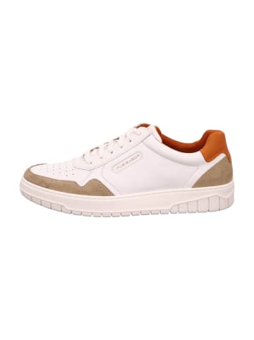 Pius Gabor Sportliche Schnürschuhe in Weiß