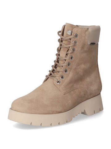 Högl Schnürstiefel in taupe