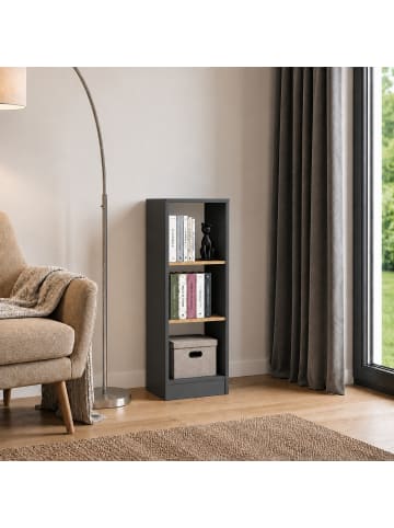 VCM  Bücherregal Dilos 114 x 38 cm für Aktenordner in Anthrazit / Honig-Eiche