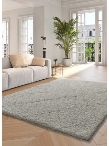 Atticgo Hochflor-Teppich ATESA in weiß