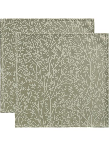 Erwin Müller Jacquard Serviette 2er-Pack Malaga in lindgrün