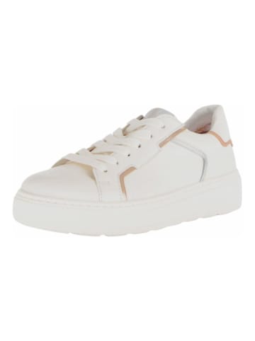 Gabor Sneaker Puder