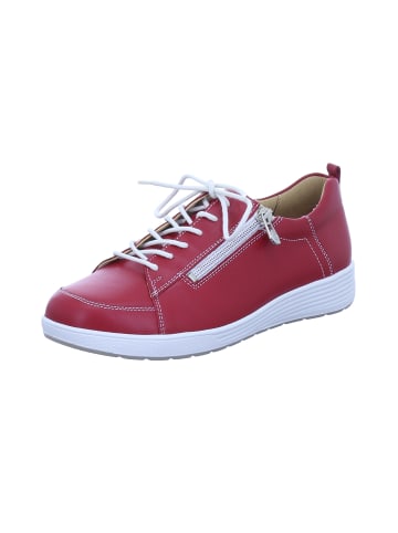 Ganter Sneaker Low in rot
