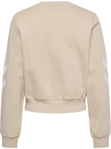 Hummel Pullover in Beige