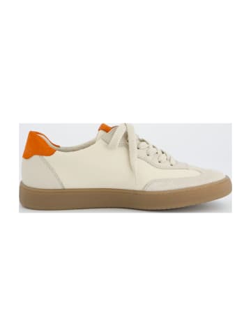 Paul Green Sportliche Schnürschuhe in Beige