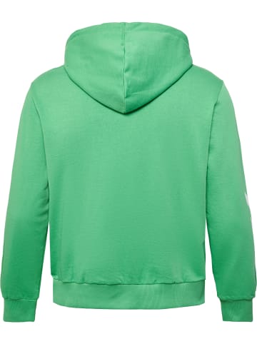 Hummel Hummel Kapuzenpullover Hmllegacy Damen in GREEN SPRUCE