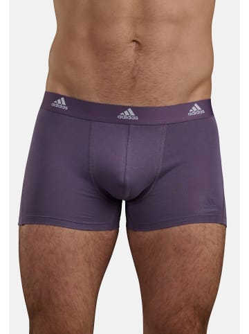 Adidas Sportswear Retro Short / Pant Active Flex Cotton in Lila / Schwarz / Hellgrün