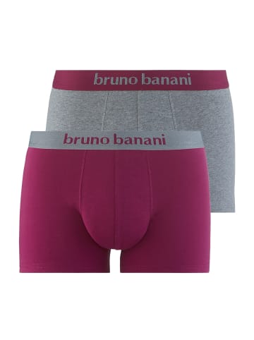 Bruno Banani Retro Short / Pant Flowing in Purple/Graumelange