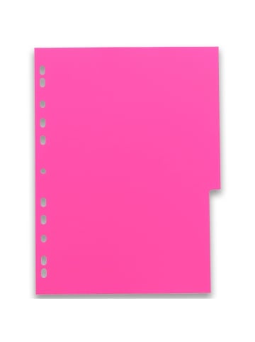 Oxford Register myColour A4 PP 300 my 12 Blatt sortierte Packung
