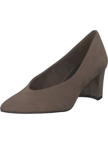 Marco Tozzi Klassische Pumps in taupe