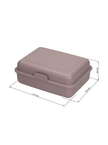 elasto Bio-Vorratsdose "Pausen-Box" in minze