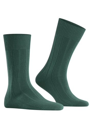 Falke Socken Lhasa Rib in Hunter green