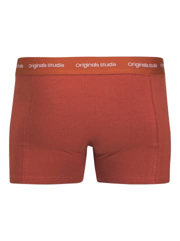 JACK & JONES PLUS 3er-Pack Trunks in Arabian Spice