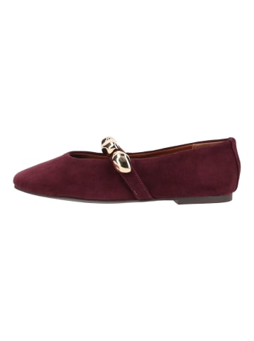 Steve Madden Ballerinas POPPIN in Dunkelrot