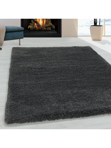 Hochflor Teppich Francesca in Grau