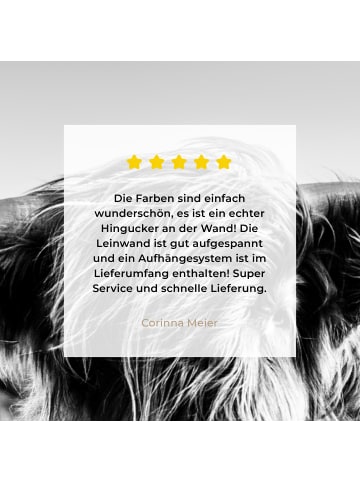 MuchoWow Leinwand bilder Schottisches Hochlandrind (BxH)