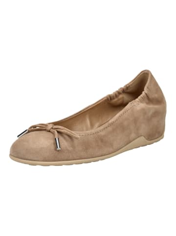 Pumps Taupe