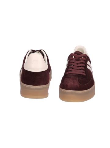 MIDS MARLA Sneaker in Bordeaux