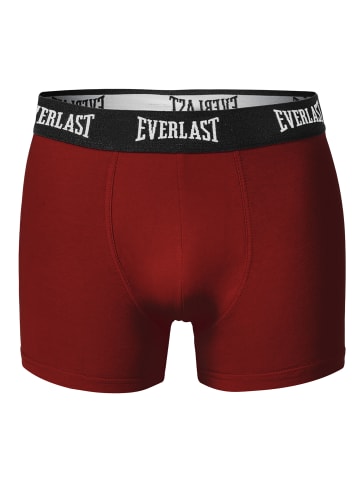 Everlast 4er Set Herren Boxershorts aus Baumwolle in Bunt