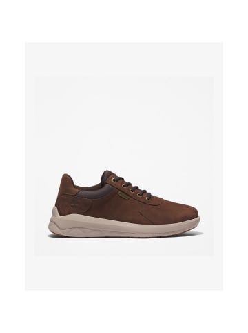 Timberland Turnschuhe Bradstreet