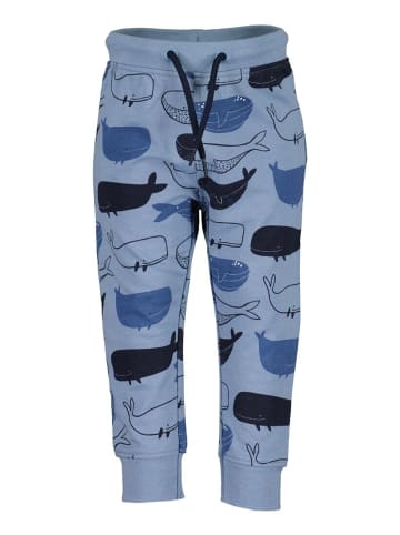 Blue Seven Kids Blue Seven® Baby Jungen Jogginghose Wal