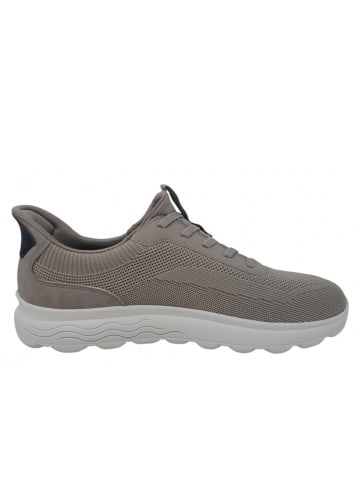 Geox Sneaker Spherica Plus in Beige