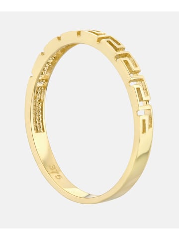Vanlere Ring aus 375 Gelbgold