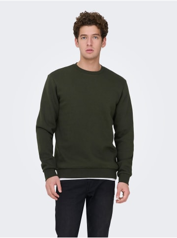 ONLY & SONS Sweatshirt in Rosin