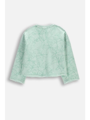 Coccodrillo Sweatshirt in grün