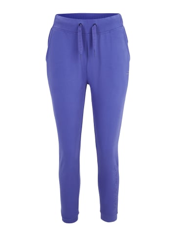 Venice Beach Sweathose VB Lora in iris butterfly